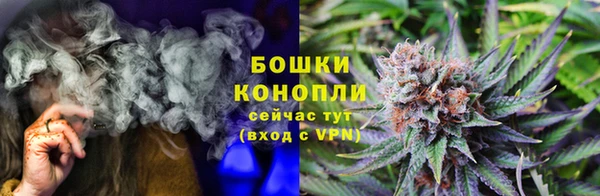 СК Аркадак