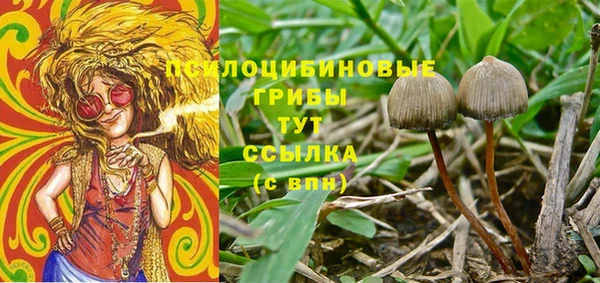 дживик Армянск