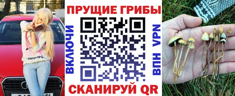 Псилоцибиновые грибы GOLDEN TEACHER  Пласт 